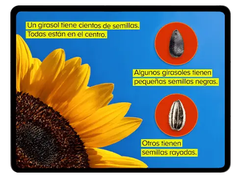 Equitable-Biliteracy_image1.webp