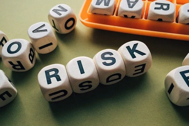 risk-1945683_640.jpg