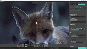 download.jpg